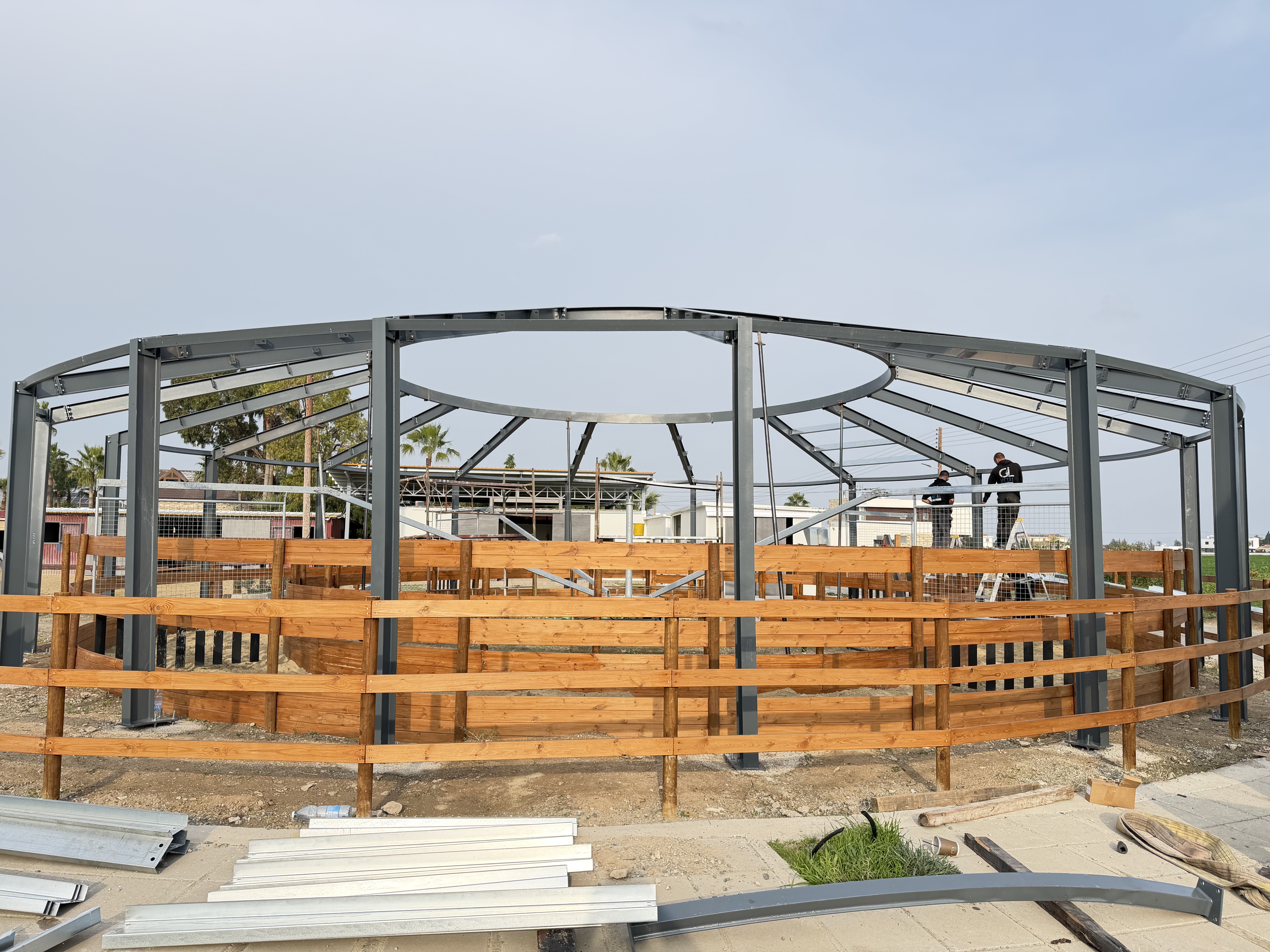Horse Walker in Larnaca
